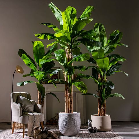 cây chuối quê giả trang trí