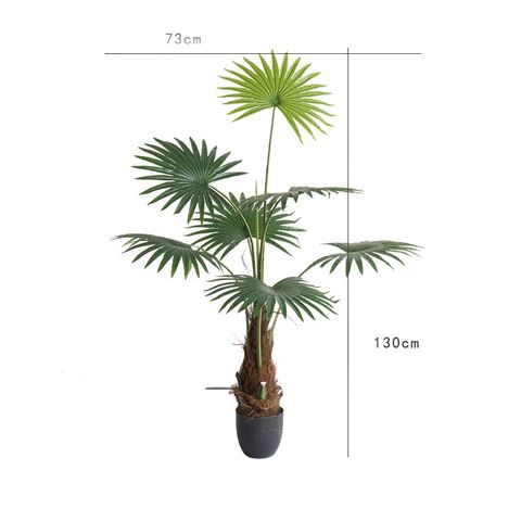 Cây cọ gốc to giả trang trí