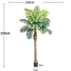 Cây dừa nhiệt đới giả trang trí