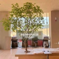 Cây Asebi giả trang trí cao 3 mét