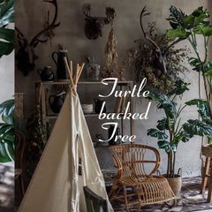 Cây giả trang trí chất lượng đẹp như thật tại TP HCM