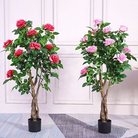 Cây hoa hồng Pháp trang trí trang trí căn hộ phòng khách đẹp giá rẻ