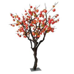 Cây quả hồng giả trang trí cao trên 2 mét