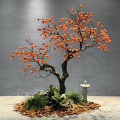 Cây quả hồng giả trang trí cao trên 2 mét