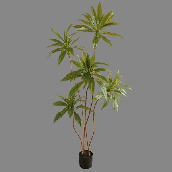 Cây hồng phát tài giả trang trí