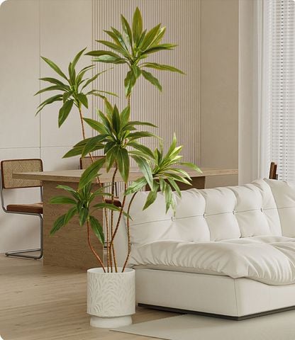 Cây hồng phát tài giả trang trí