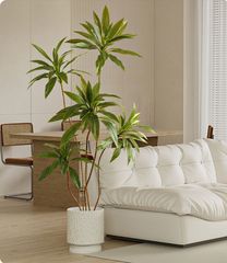 Cây hồng phát tài giả trang trí