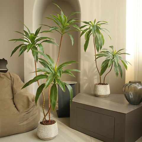 Cây hồng phát tài giả trang trí