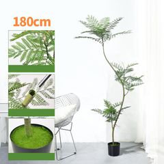 Cây Jacaranda giả trang trí