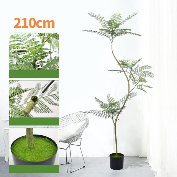 Cây Jacaranda giả trang trí