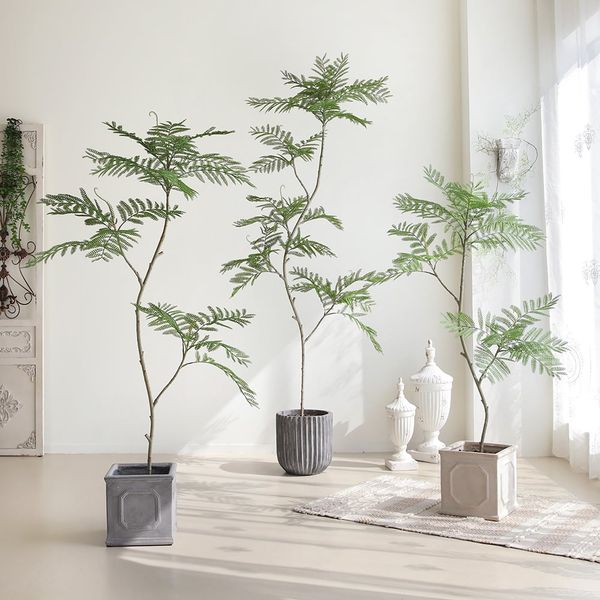 Cây Jacaranda giả trang trí