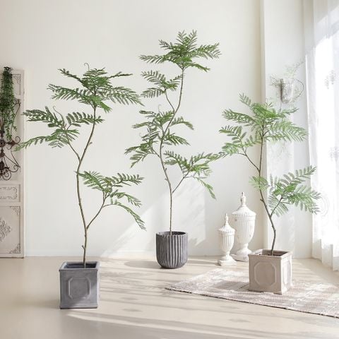 Cây Jacaranda giả trang trí