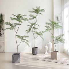 Cây Jacaranda giả trang trí