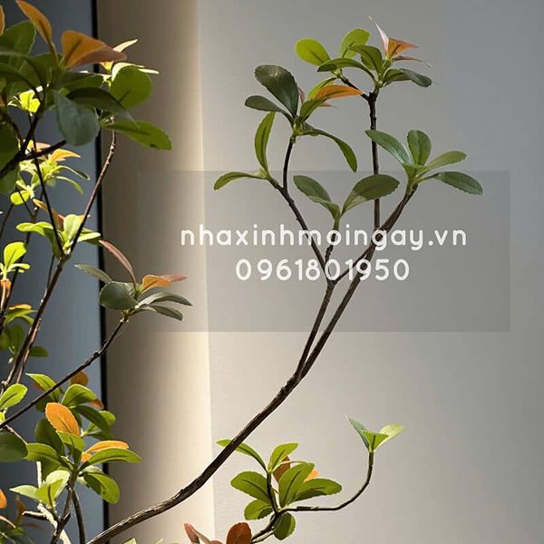 Cây bàng Đài Loan giả trang trí cao 3 mét