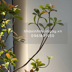 Cây bàng Đài Loan giả trang trí cao 3 mét