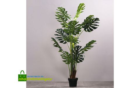 cay-la-xe-canh-gia-trang-tri-cao-180-cm