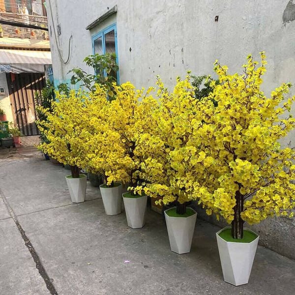 Cây mai giả trang trí tết