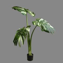 Cây monstera giả đột biến lá lớn