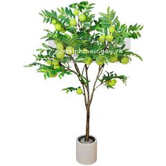Cây mãng cầu Đài Loan giả trang trí cao 165 cm