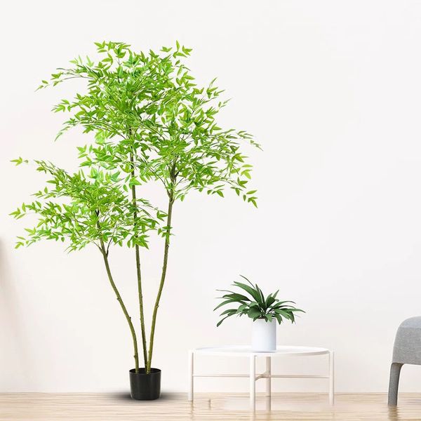 Cây nam thiên trúc giả nhiều thân