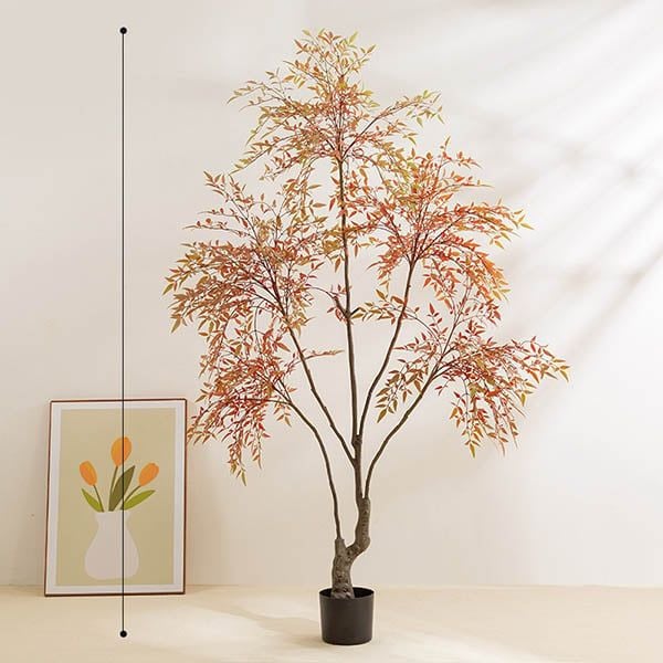 Cây nam thiên trúc giả trang trí