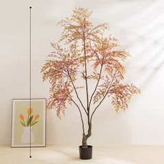 Cây nam thiên trúc giả trang trí