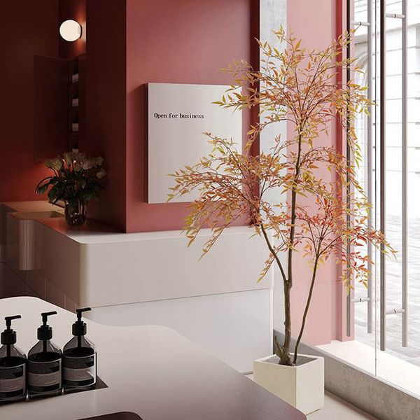 Cây nam thiên trúc giả trang trí