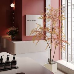 Cây nam thiên trúc giả trang trí