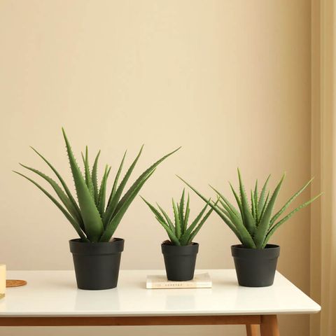 cây nha đam giả trang trí giống thật