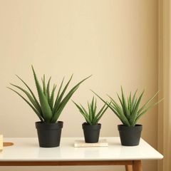 Chậu cây nha đam giả trang trí nhà cửa