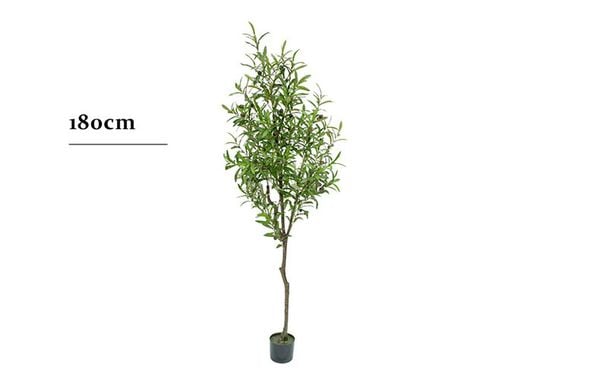 Cây ô liu cảnh giả trang trí