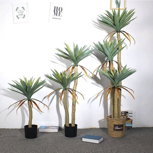 Cây phát tài núi giả lá phấn C028 trang trí