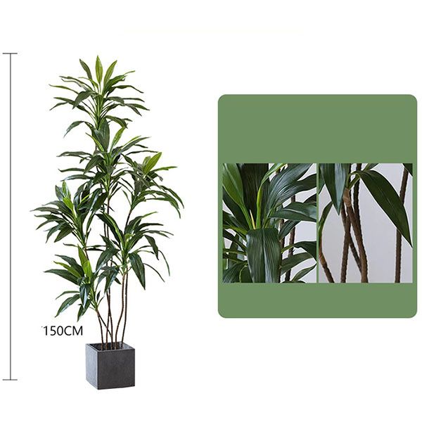 Cây phát tài giả thân nhỏ trang trí