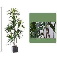 Cây phát tài giả thân nhỏ trang trí