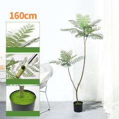 Cây Jacaranda giả trang trí