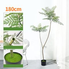 Cây Jacaranda giả trang trí