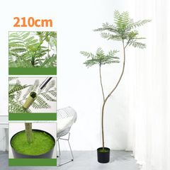 Cây Jacaranda giả trang trí