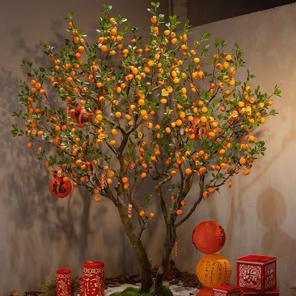 Cây quýt giả trang trí cỡ lớn