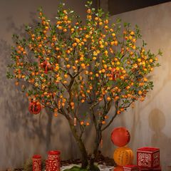 Cây quýt giả trang trí cỡ lớn