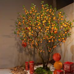 Cây quýt giả trang trí cỡ lớn