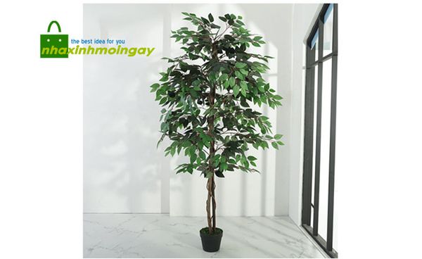 Cây Sanh giả trang trí