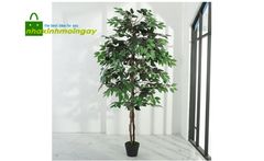 Cây Sanh giả trang trí