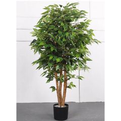 Cây si giả trang trí