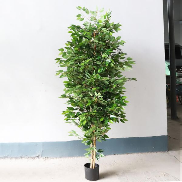 Cây si giả trang trí