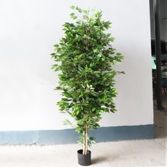 Cây si giả trang trí