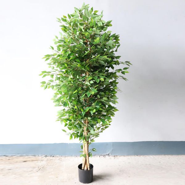 Cây si giả trang trí