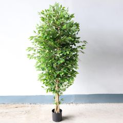 Cây si giả trang trí