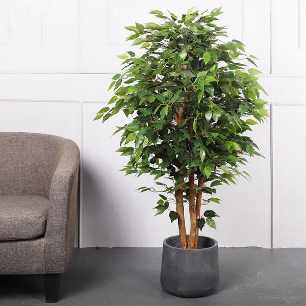 Cây si giả trang trí