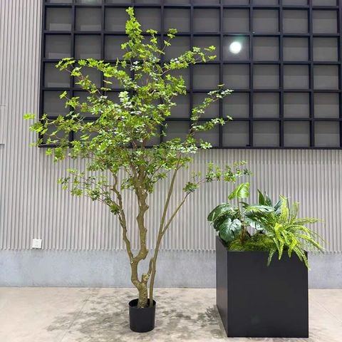 Cây thạch nam giả cao 250 cm hiện đại