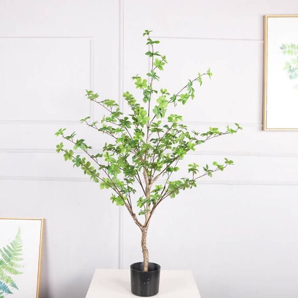 Cây thạch nam giả trang trí